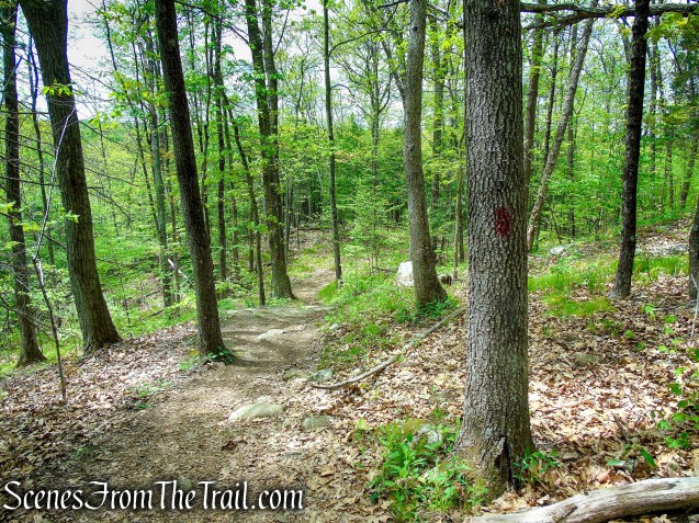 Red Trail - Southford Falls State Park