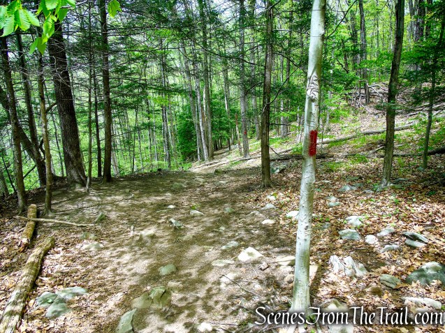 Red Trail - Southford Falls State Park