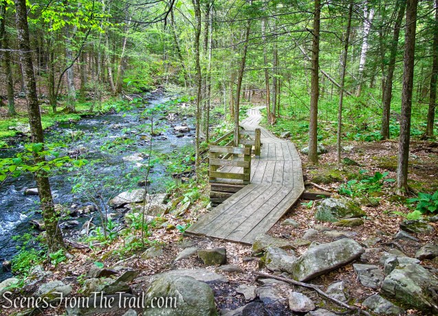 boardwalk along Eightmile Brook