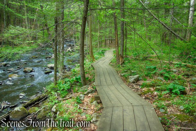 boardwalk along Eightmile Brook