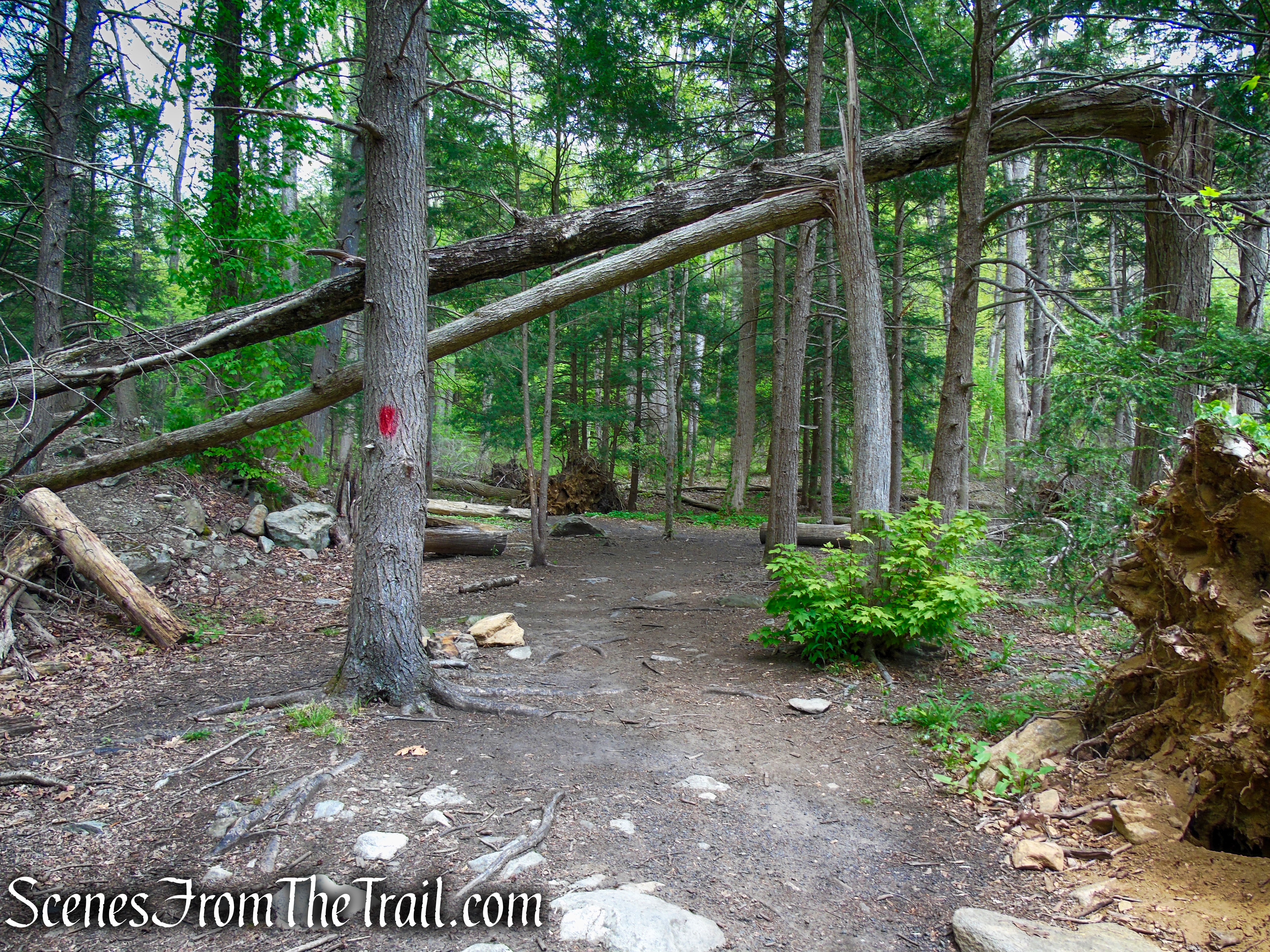Red Trail - Southford Falls State Park