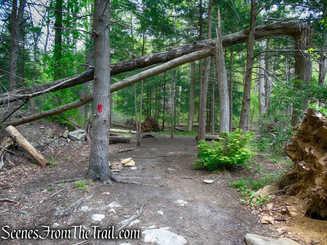 Red Trail - Southford Falls State Park