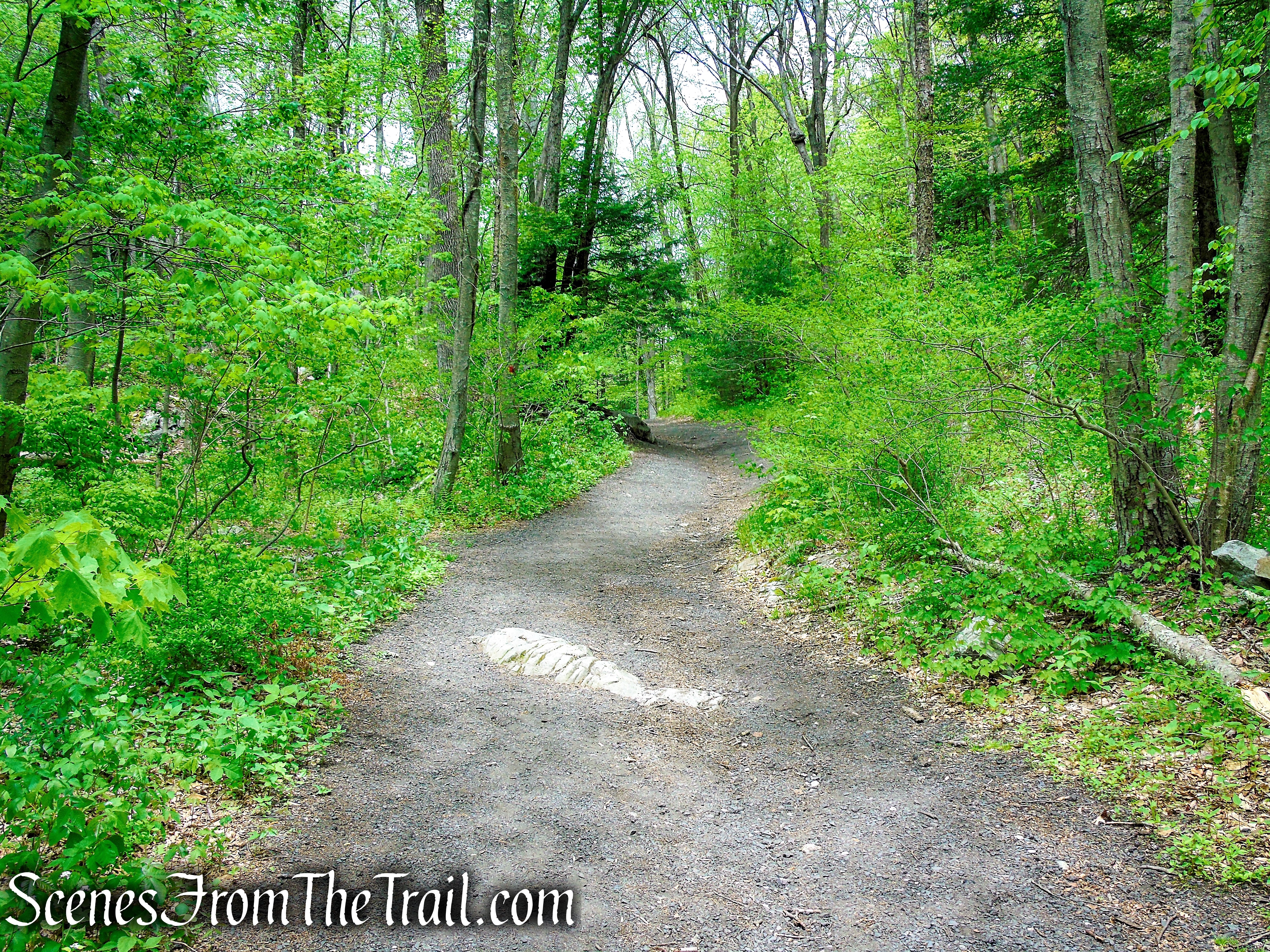 Red Trail - Southford Falls State Park