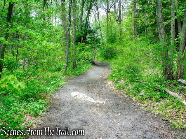Red Trail - Southford Falls State Park