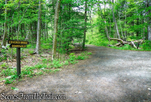 Red Trail - Southford Falls State Park