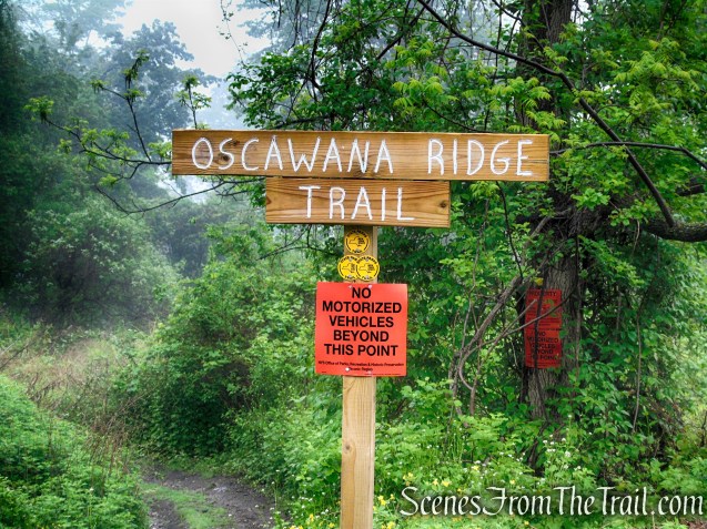 Oscawana Ridge Trail - Fahnestock State Park