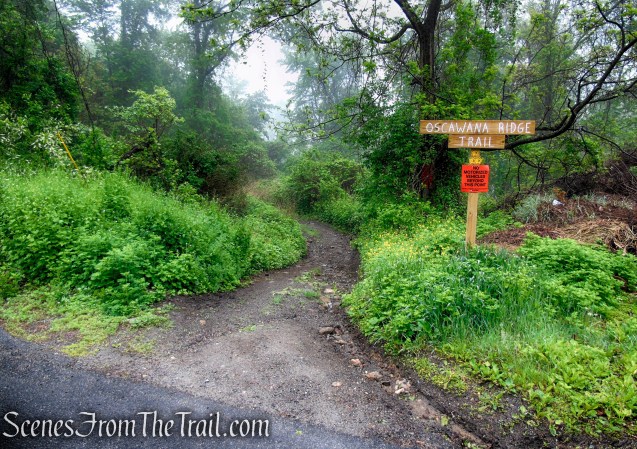 Oscawana Ridge Trailhead - Fahnestock State Park