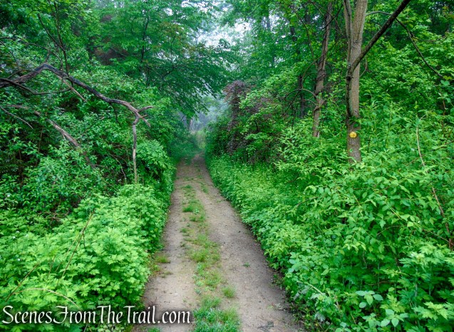 Oscawana Ridge Trail - Fahnestock State Park