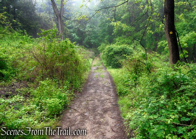 Oscawana Ridge Trail - Fahnestock State Park