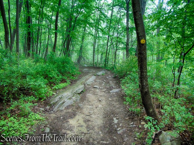 Oscawana Ridge Trail - Fahnestock State Park