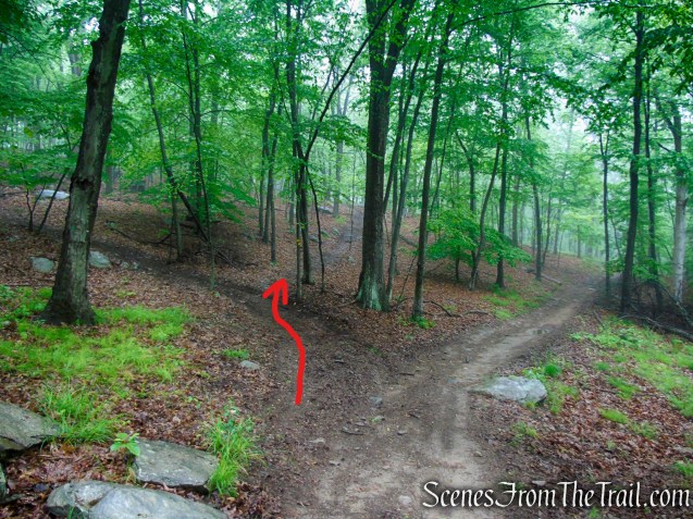 Oscawana Ridge Trail - Fahnestock State Park