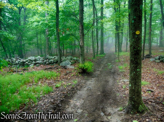 Oscawana Ridge Trail - Fahnestock State Park