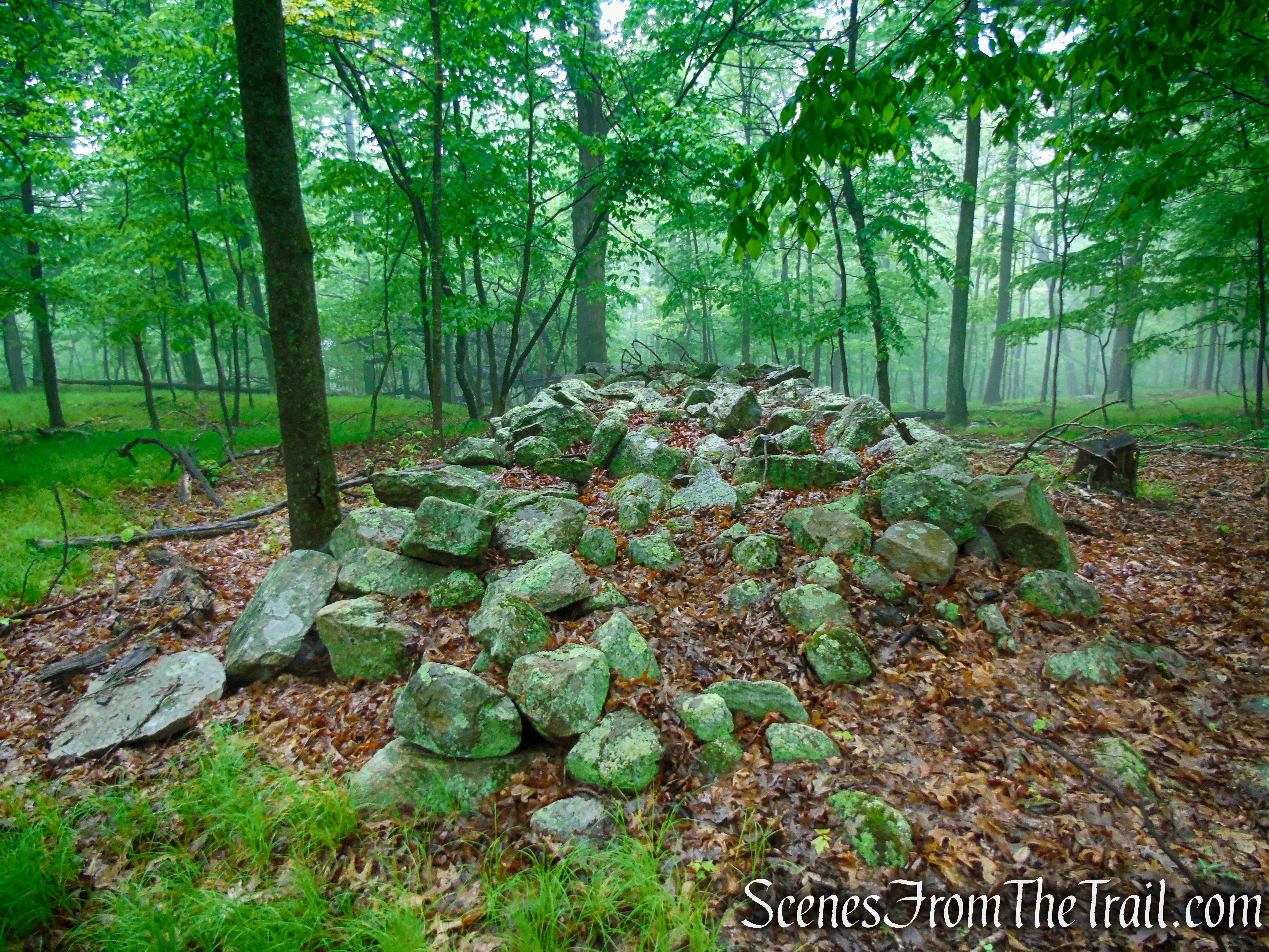 Oscawana Ridge Trail - Fahnestock State Park