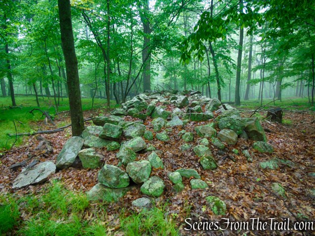 Oscawana Ridge Trail - Fahnestock State Park