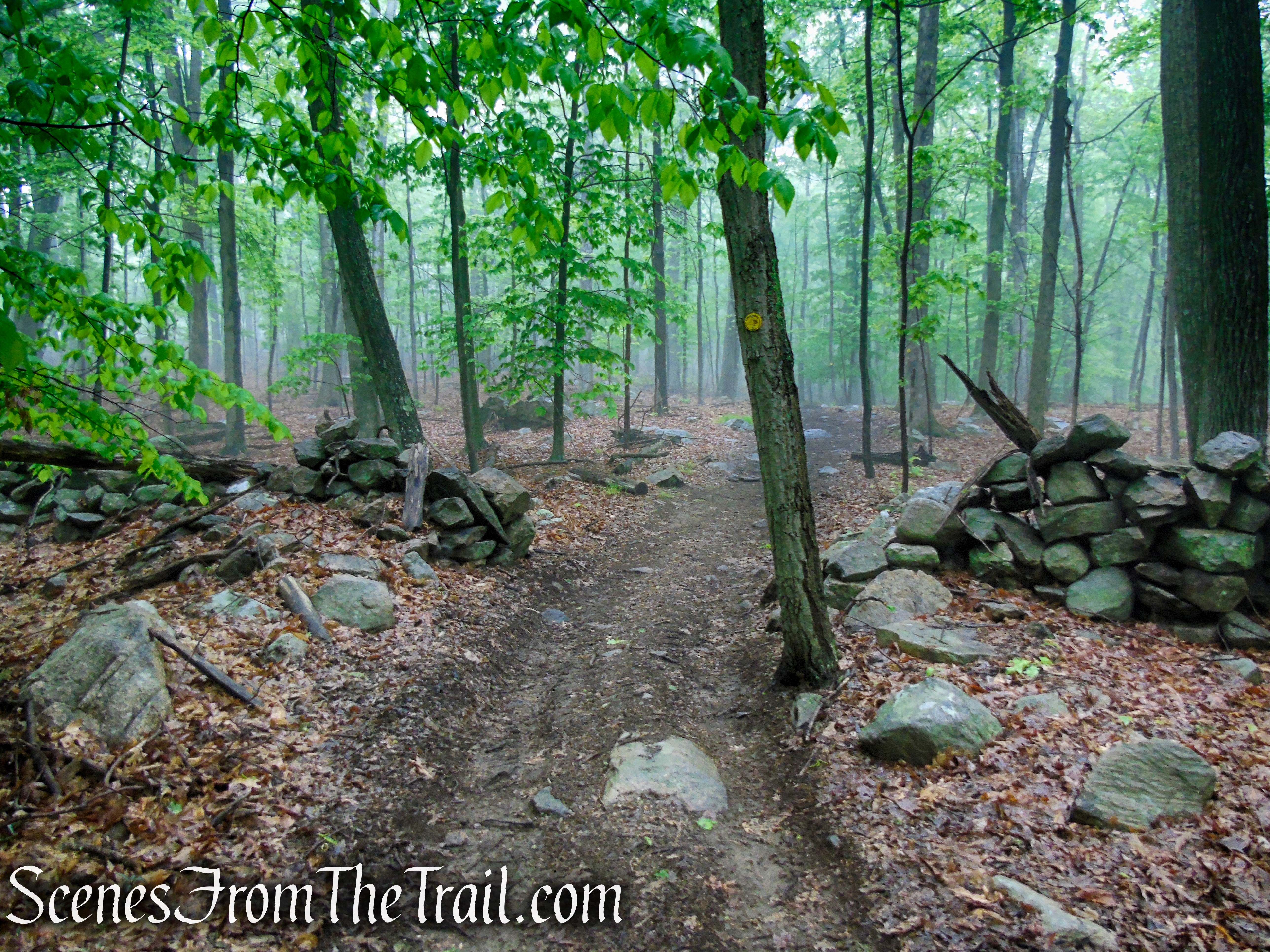 Oscawana Ridge Trail - Fahnestock State Park