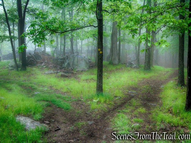 Oscawana Ridge Trail - Fahnestock State Park