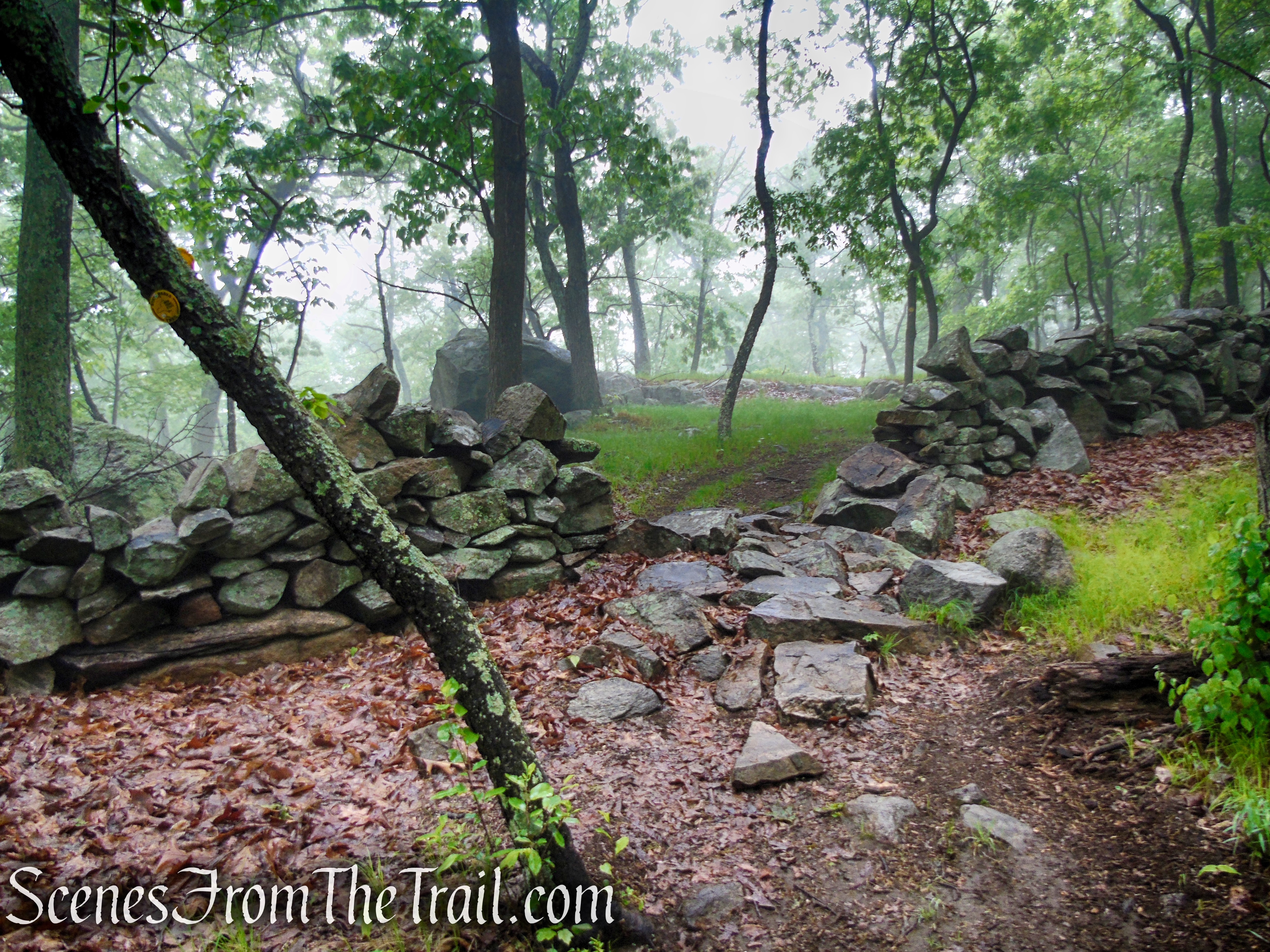 Oscawana Ridge Trail - Fahnestock State Park