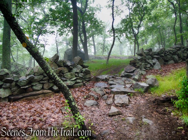 Oscawana Ridge Trail - Fahnestock State Park