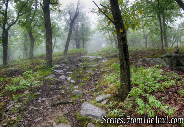 Oscawana Ridge Trail - Fahnestock State Park