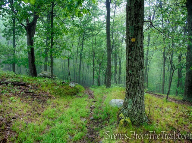 Oscawana Ridge Trail - Fahnestock State Park