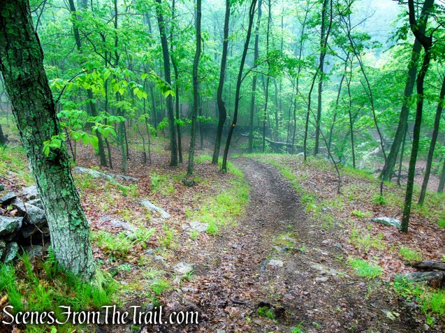 Oscawana Ridge Trail - Fahnestock State Park