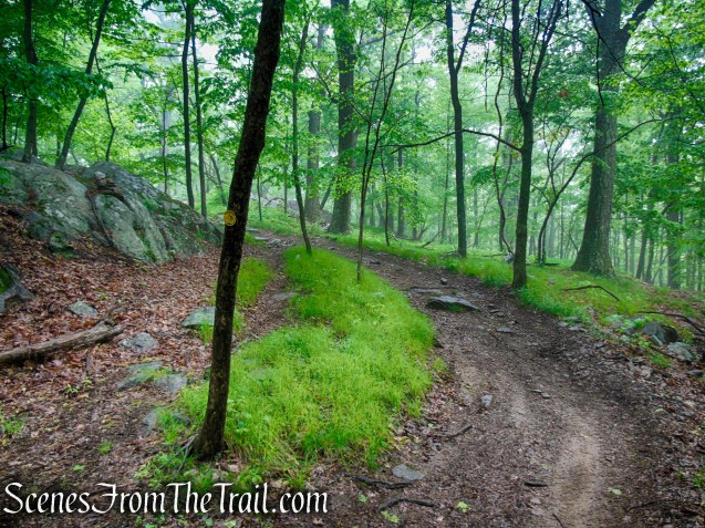 Oscawana Ridge Trail - Fahnestock State Park