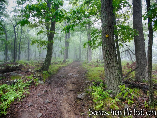 Oscawana Ridge Trail - Fahnestock State Park