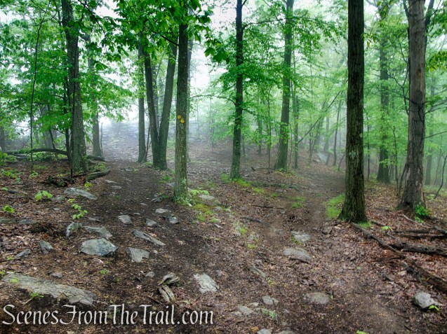 Oscawana Ridge Trail - Fahnestock State Park