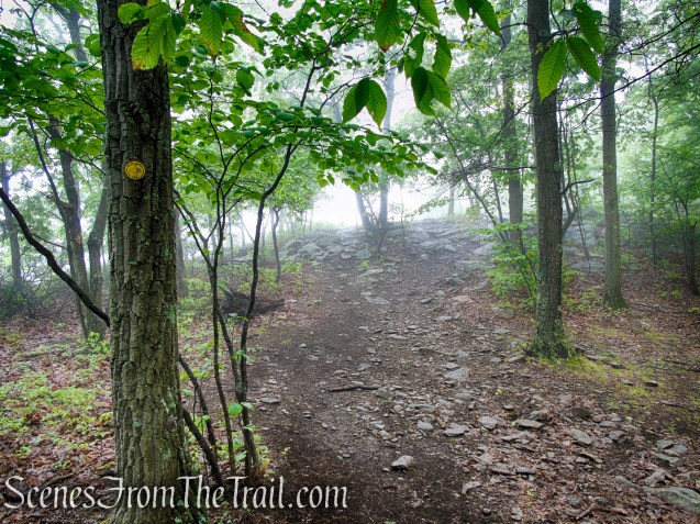 Oscawana Ridge Trail - Fahnestock State Park