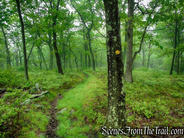 Oscawana Ridge Trail - Fahnestock State Park