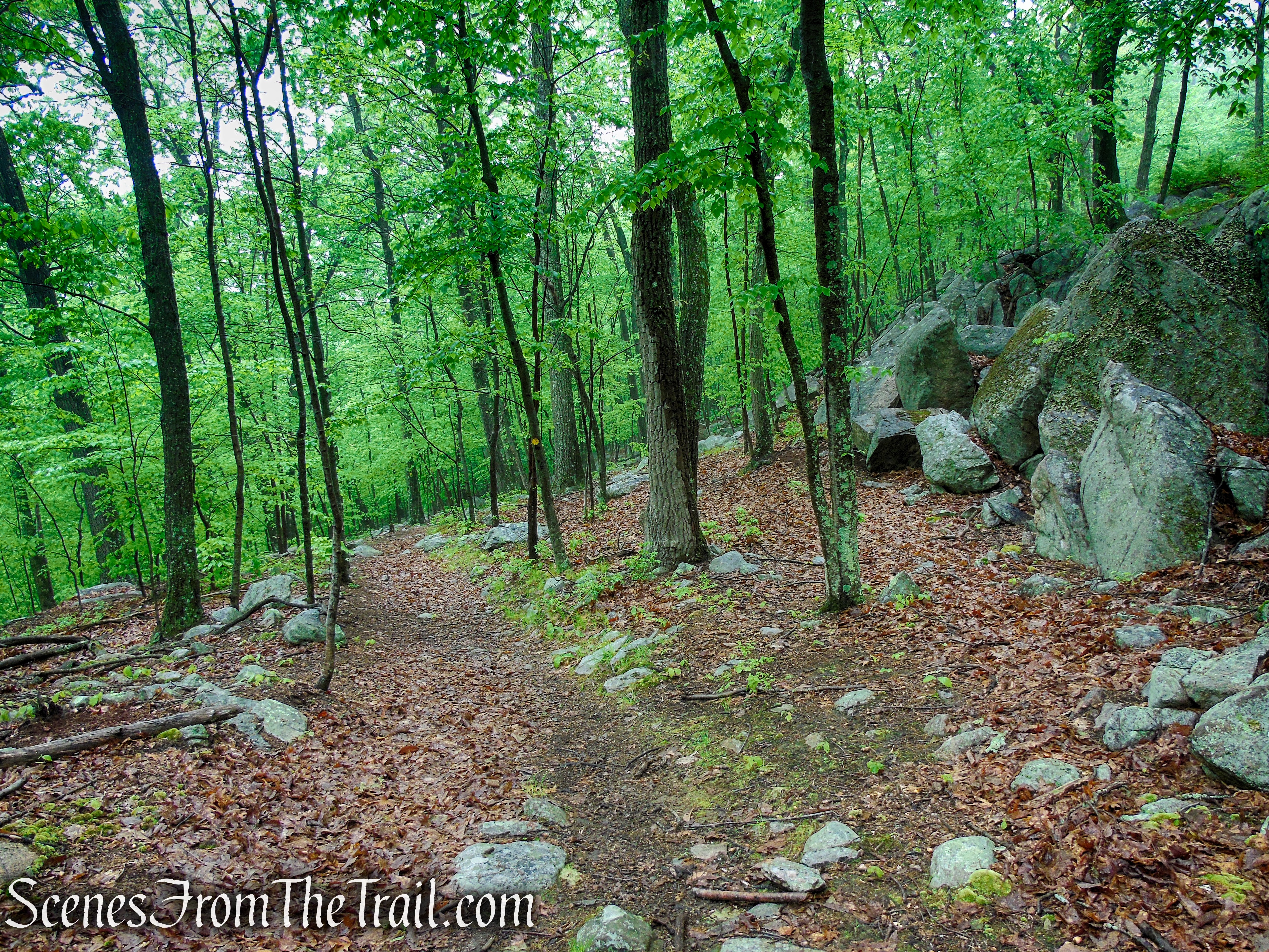 Oscawana Ridge Trail - Fahnestock State Park
