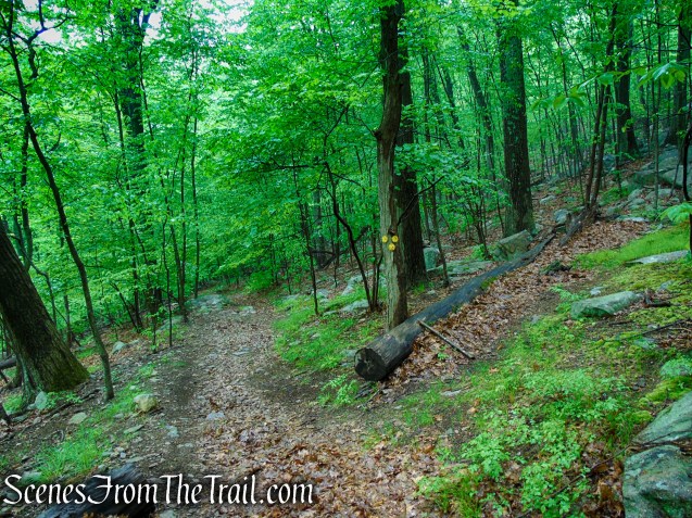 Oscawana Ridge Trail - Fahnestock State Park