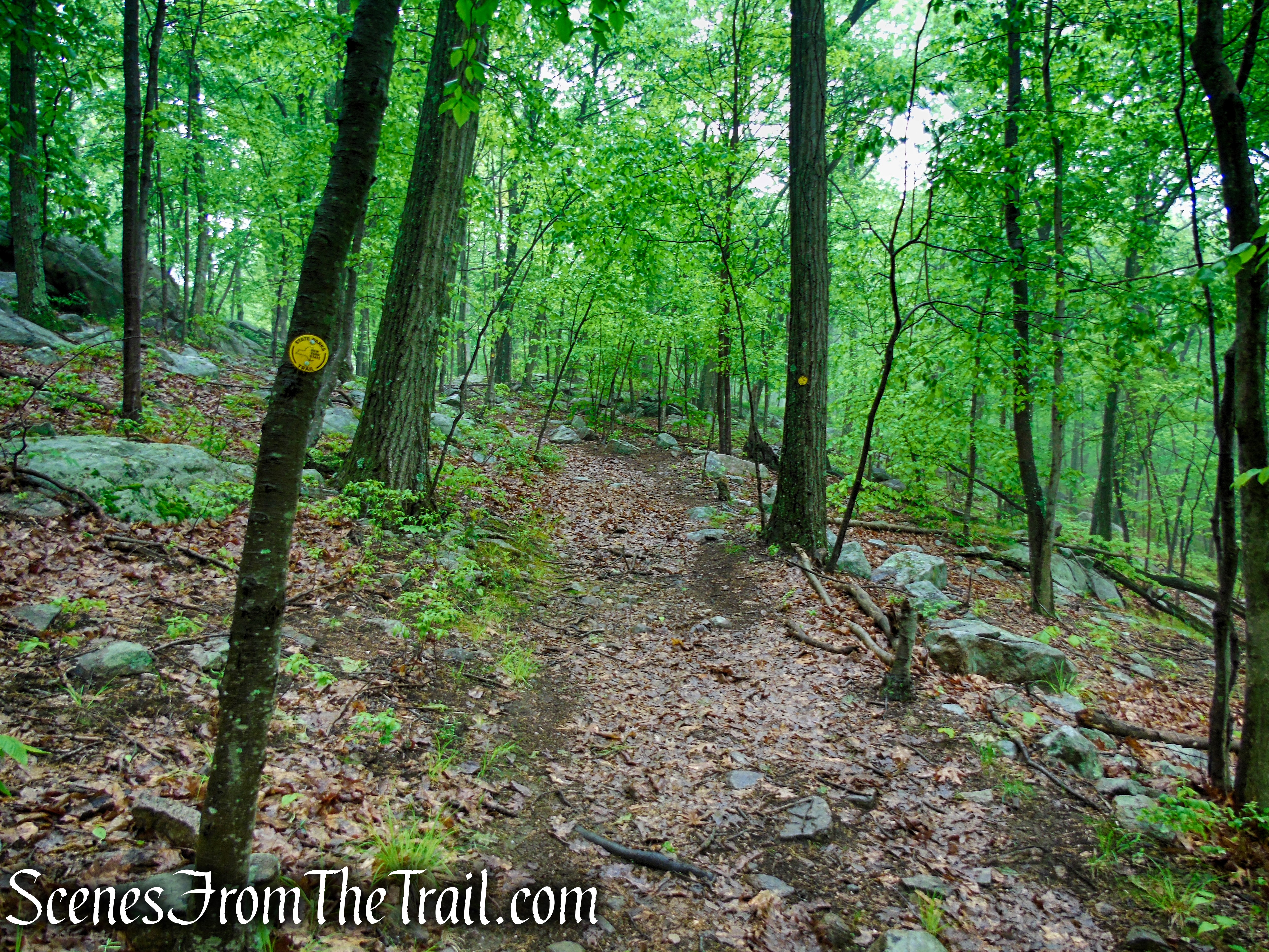Oscawana Ridge Trail - Fahnestock State Park