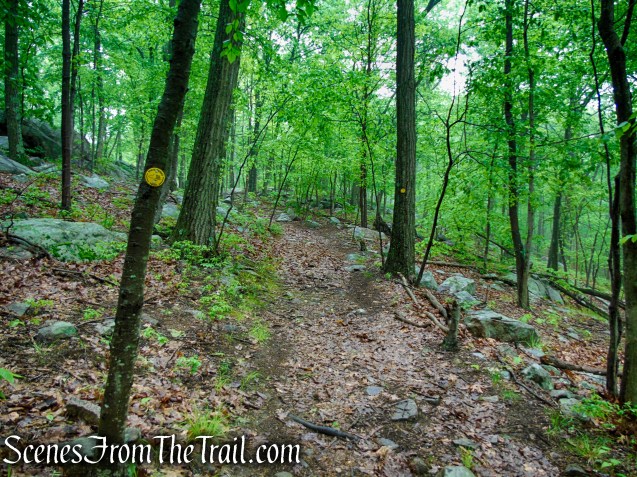 Oscawana Ridge Trail - Fahnestock State Park