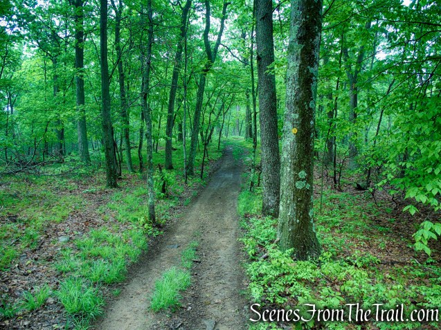 Oscawana Ridge Trail - Fahnestock State Park