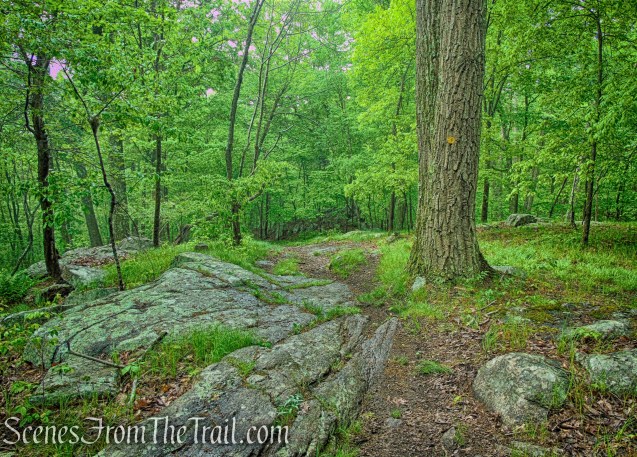 Oscawana Ridge Trail - Fahnestock State Park
