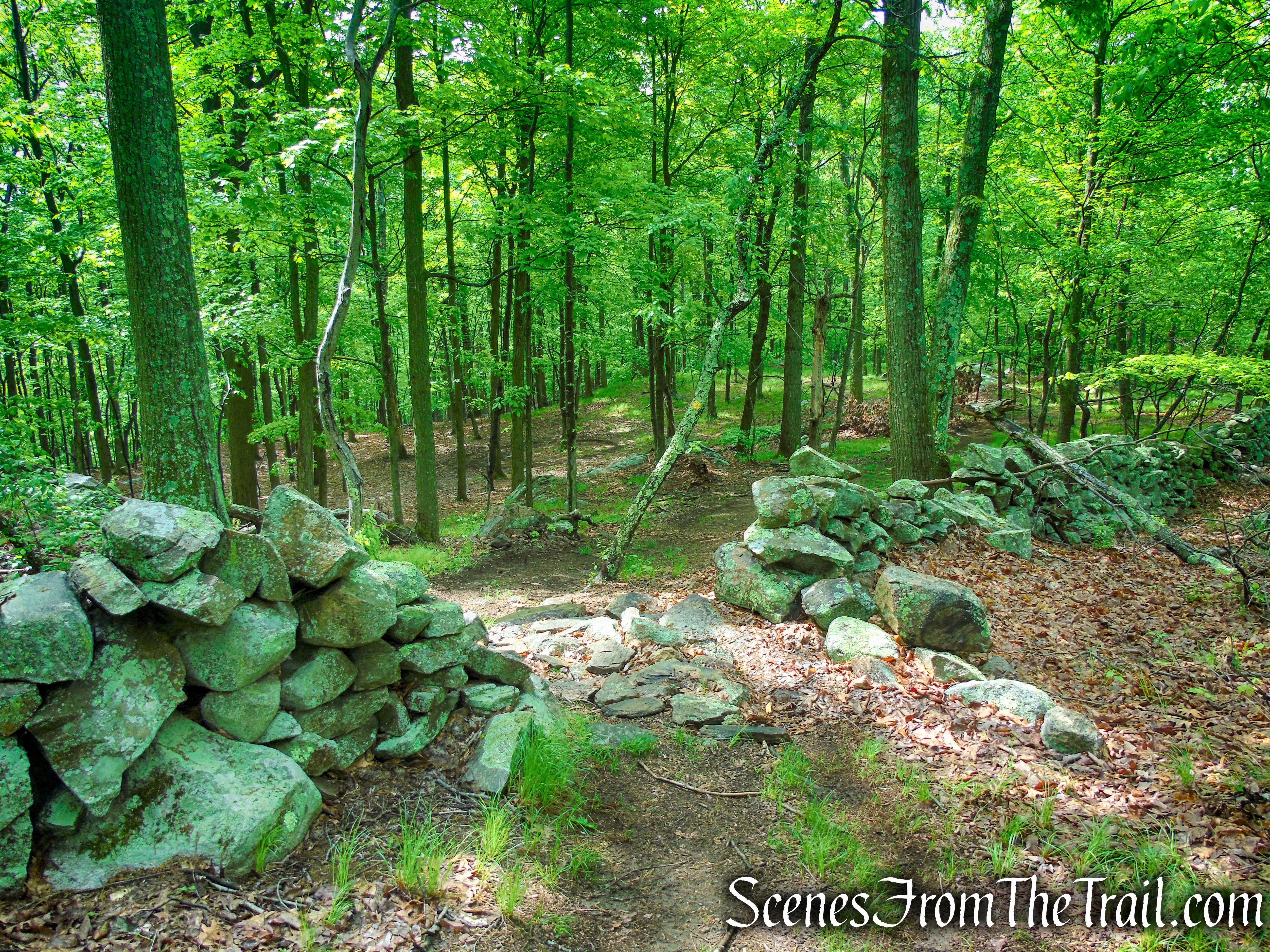 Oscawana Ridge Trail - Fahnestock State Park