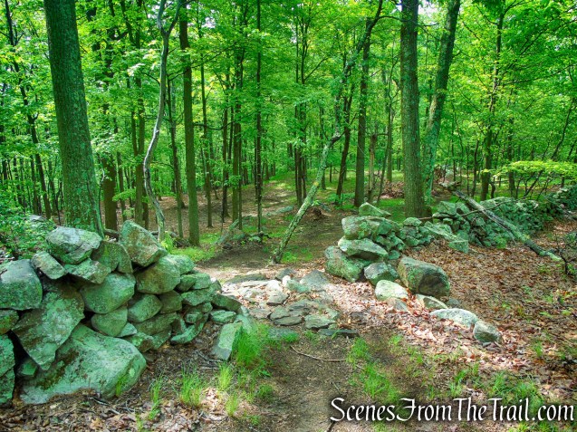 Oscawana Ridge Trail - Fahnestock State Park