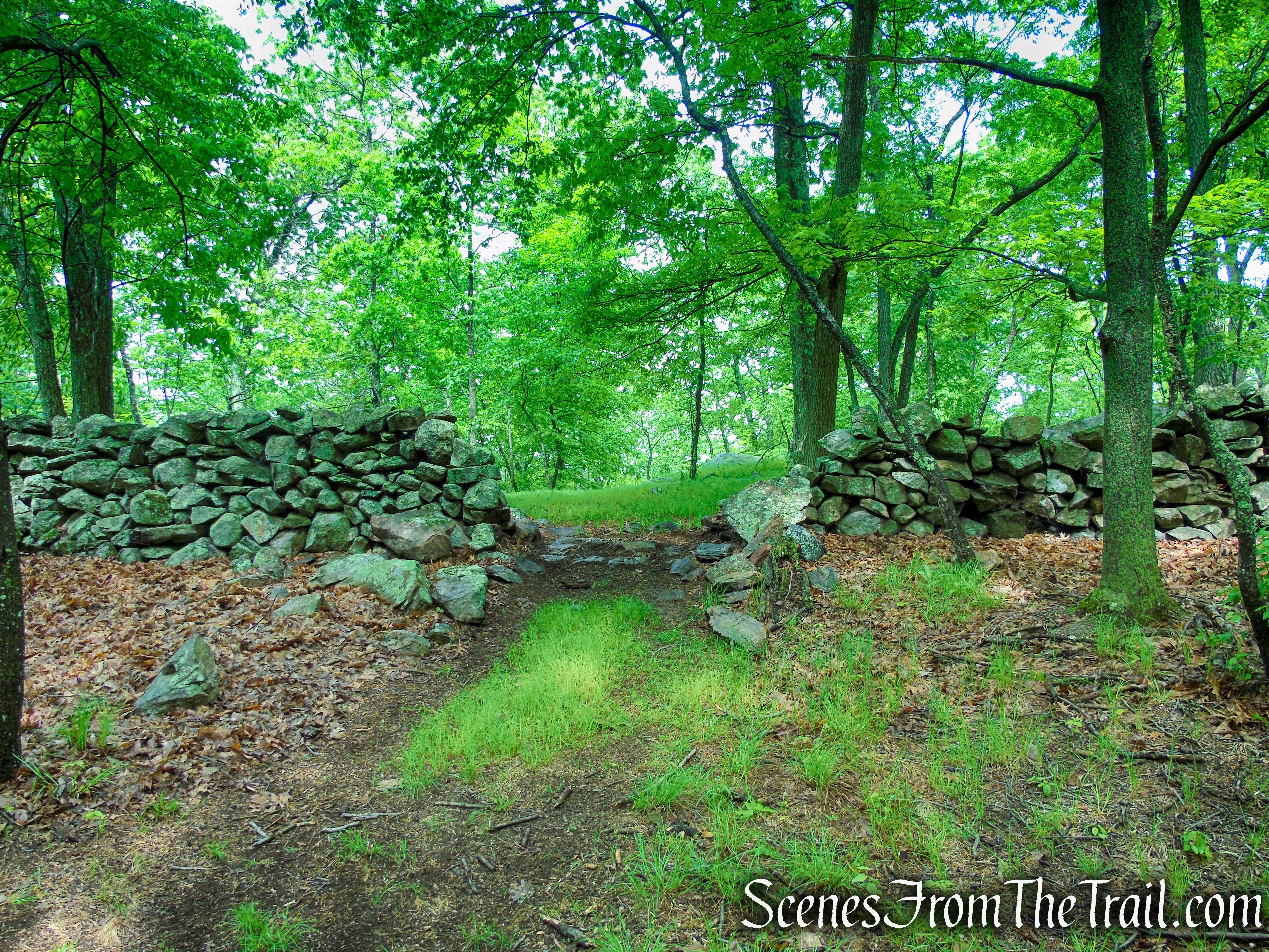 Oscawana Ridge Trail - Fahnestock State Park