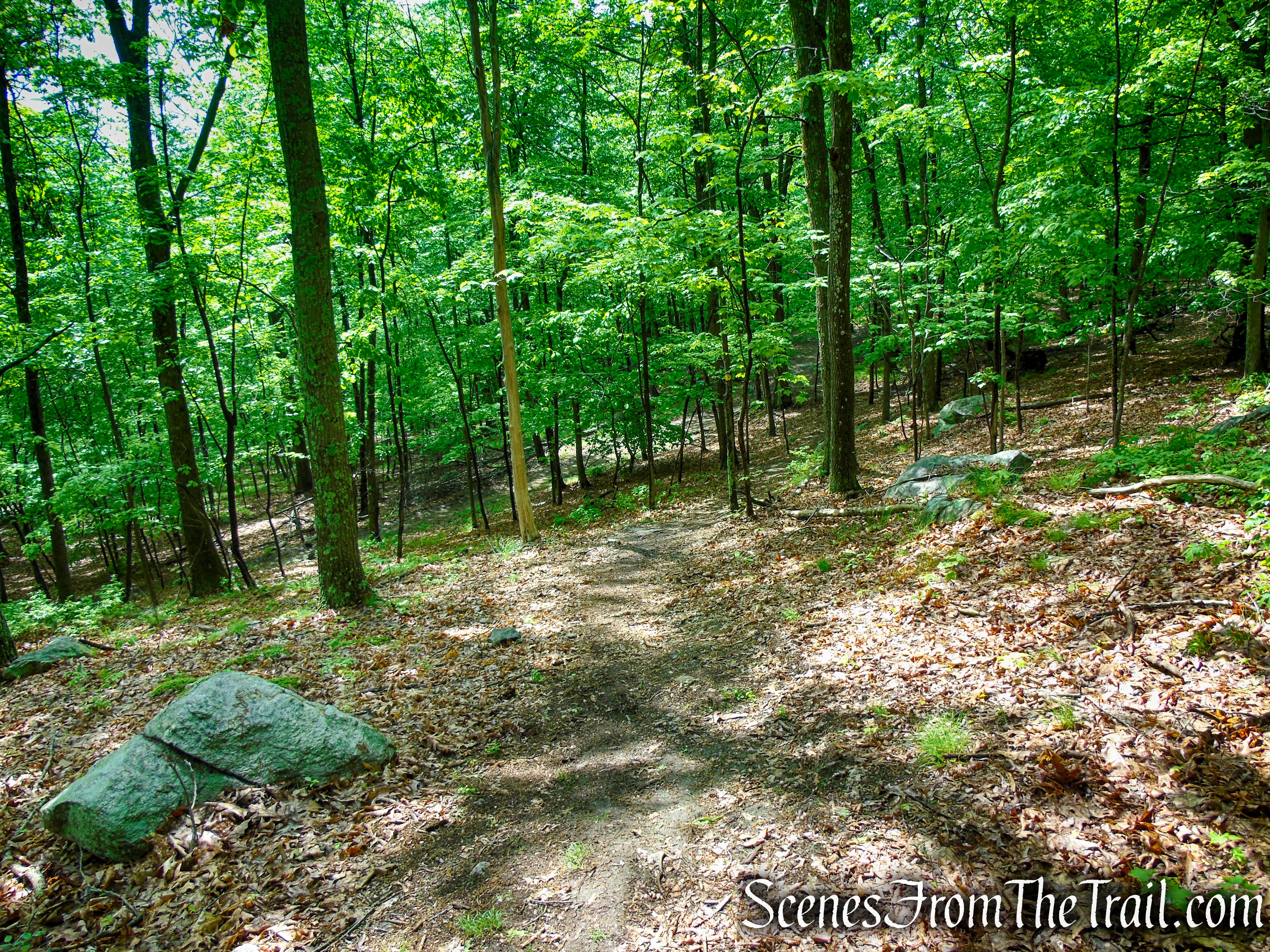 Oscawana Ridge Trail - Fahnestock State Park