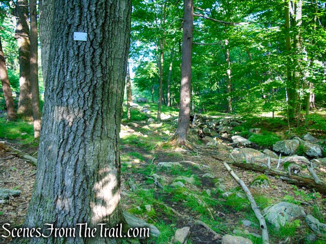 White Bar Trail - Harriman State Park