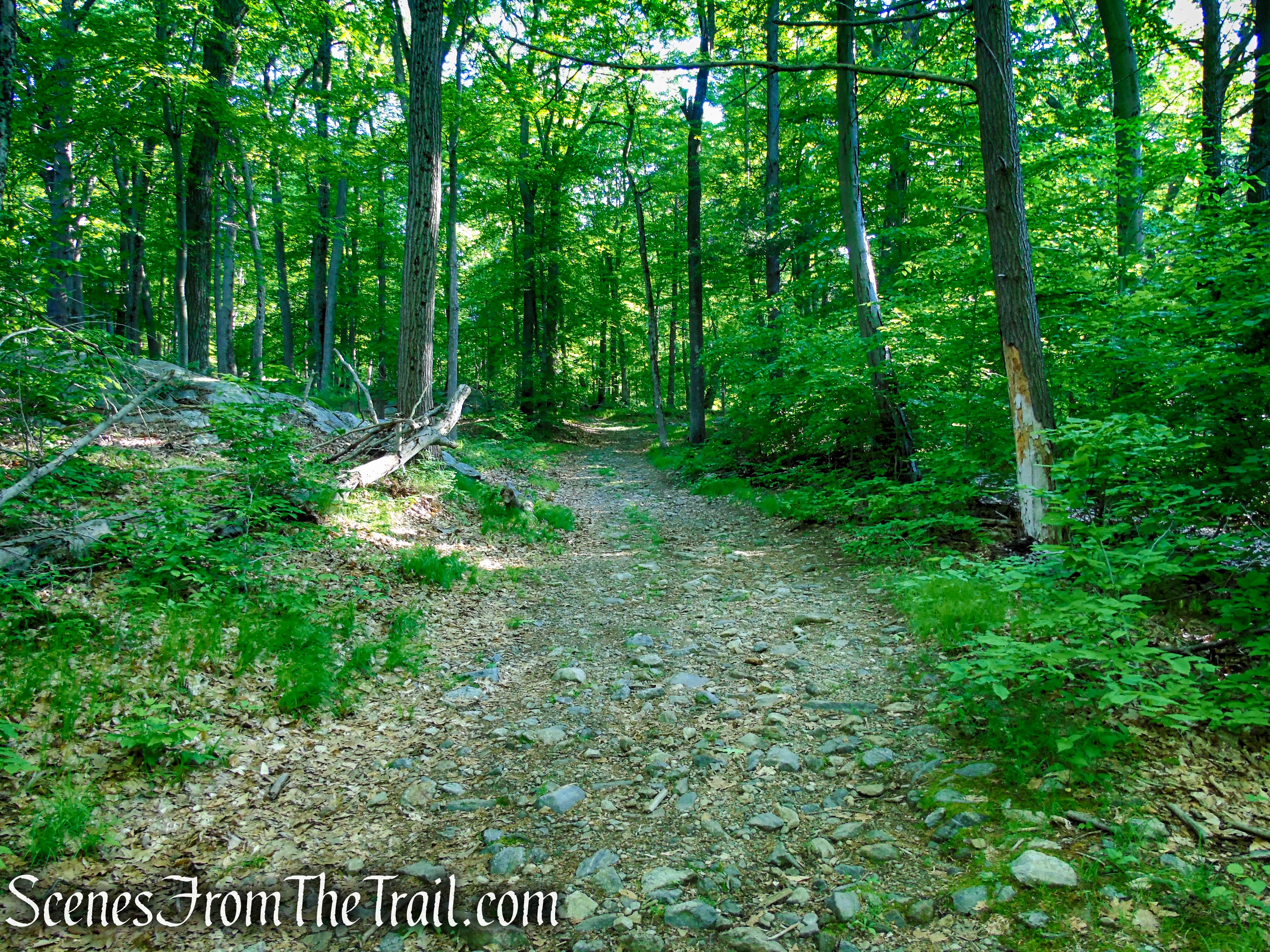 Island Pond Road/White Bar Trail - Harriman State Park