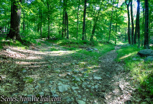 bear left on Island Pond Road