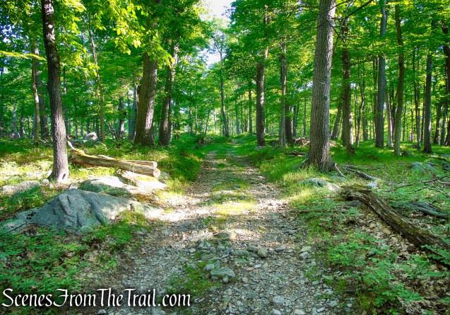 Island Pond Road - Harriman State Park