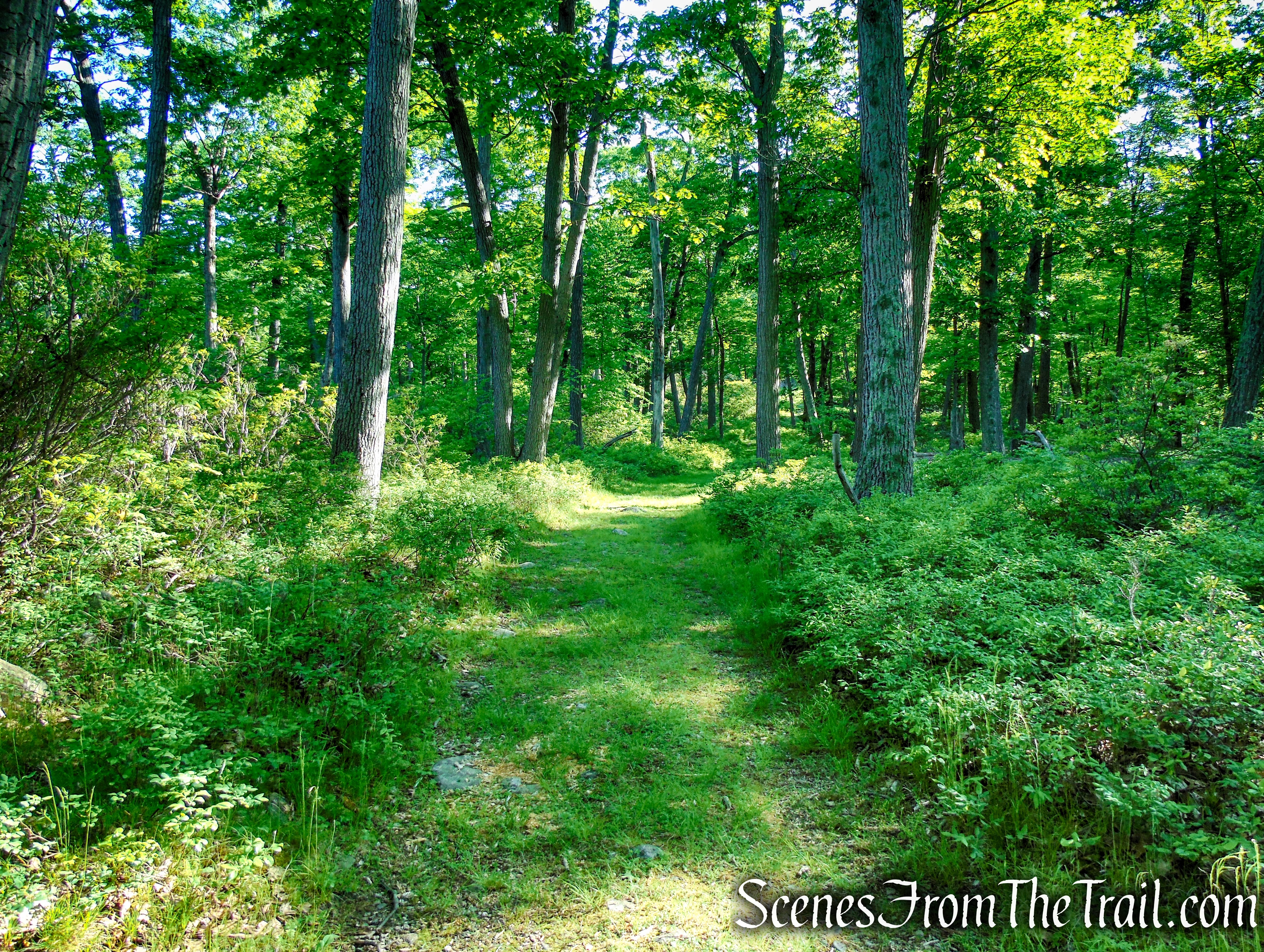 Island Pond Road - Harriman State Park