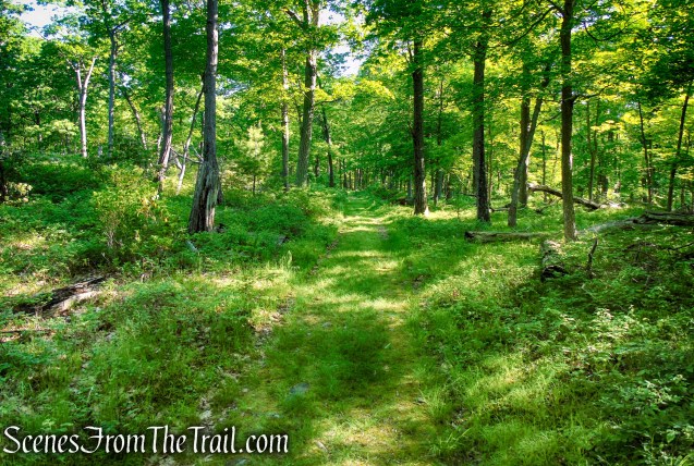 Island Pond Road - Harriman State Park