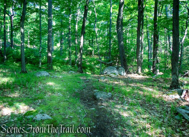 unmarked trail - Stahahe High Peak