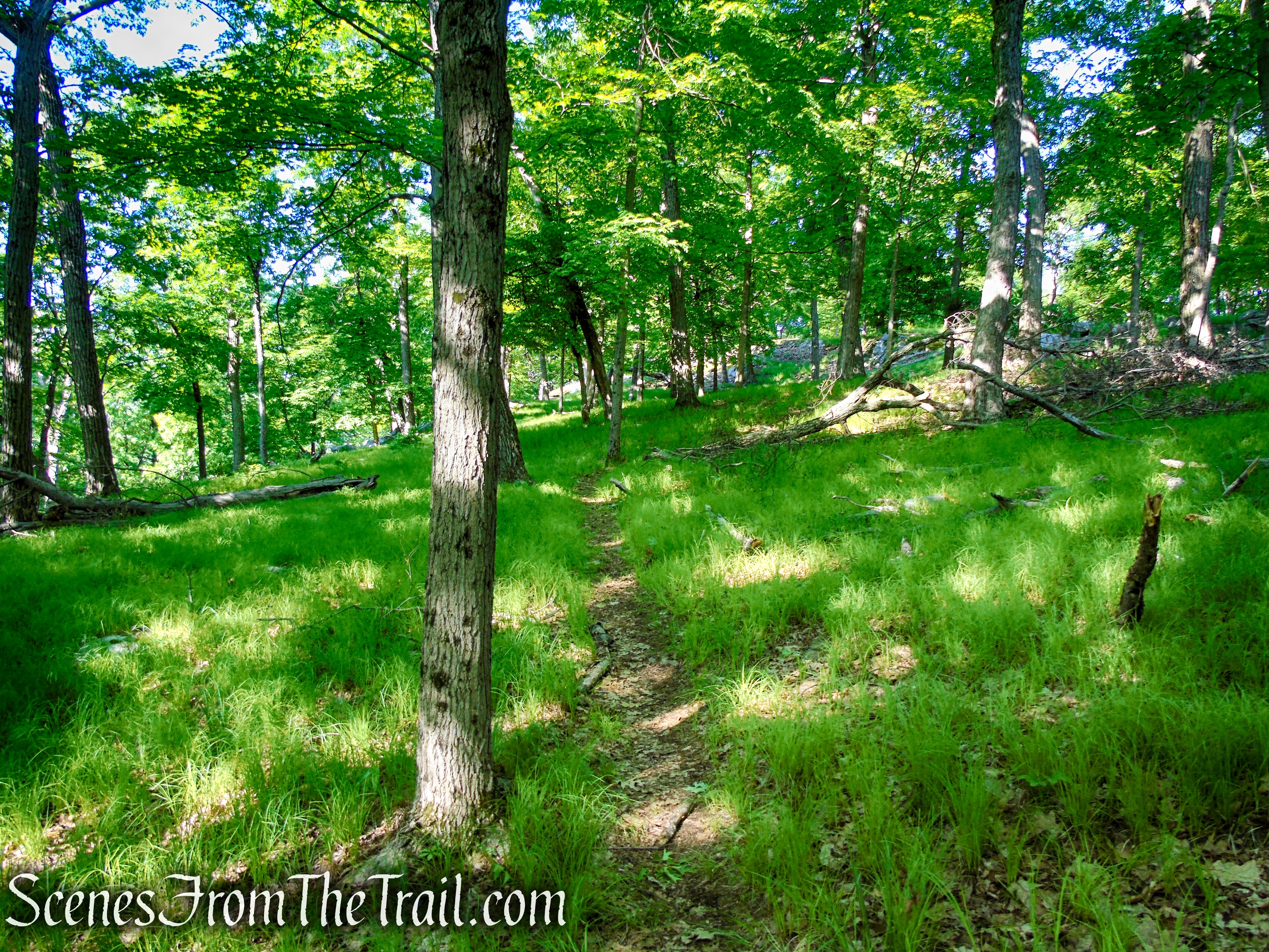 unmarked trail - Stahahe High Peak