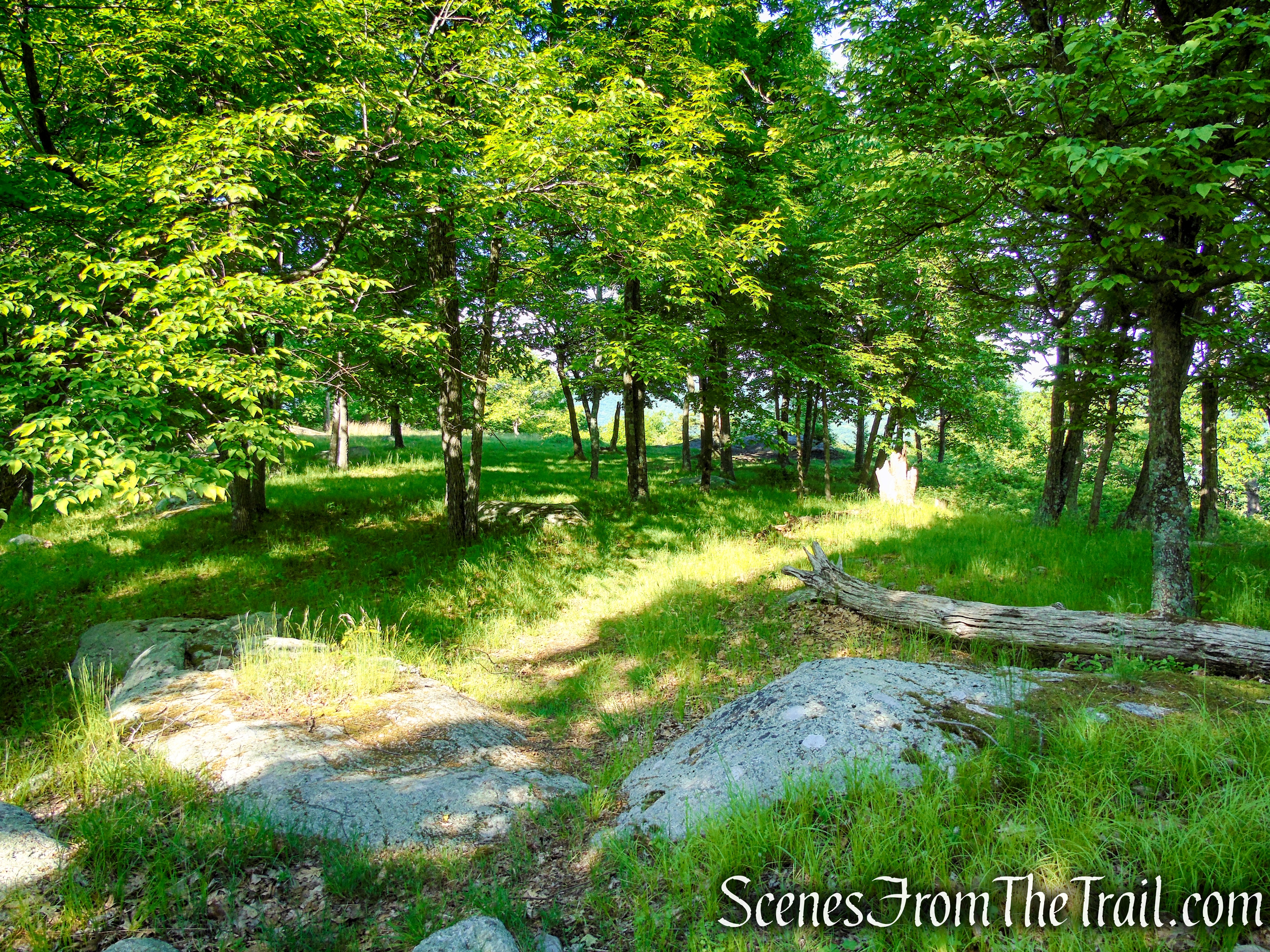 Stahahe High Peak - Harriman State Park