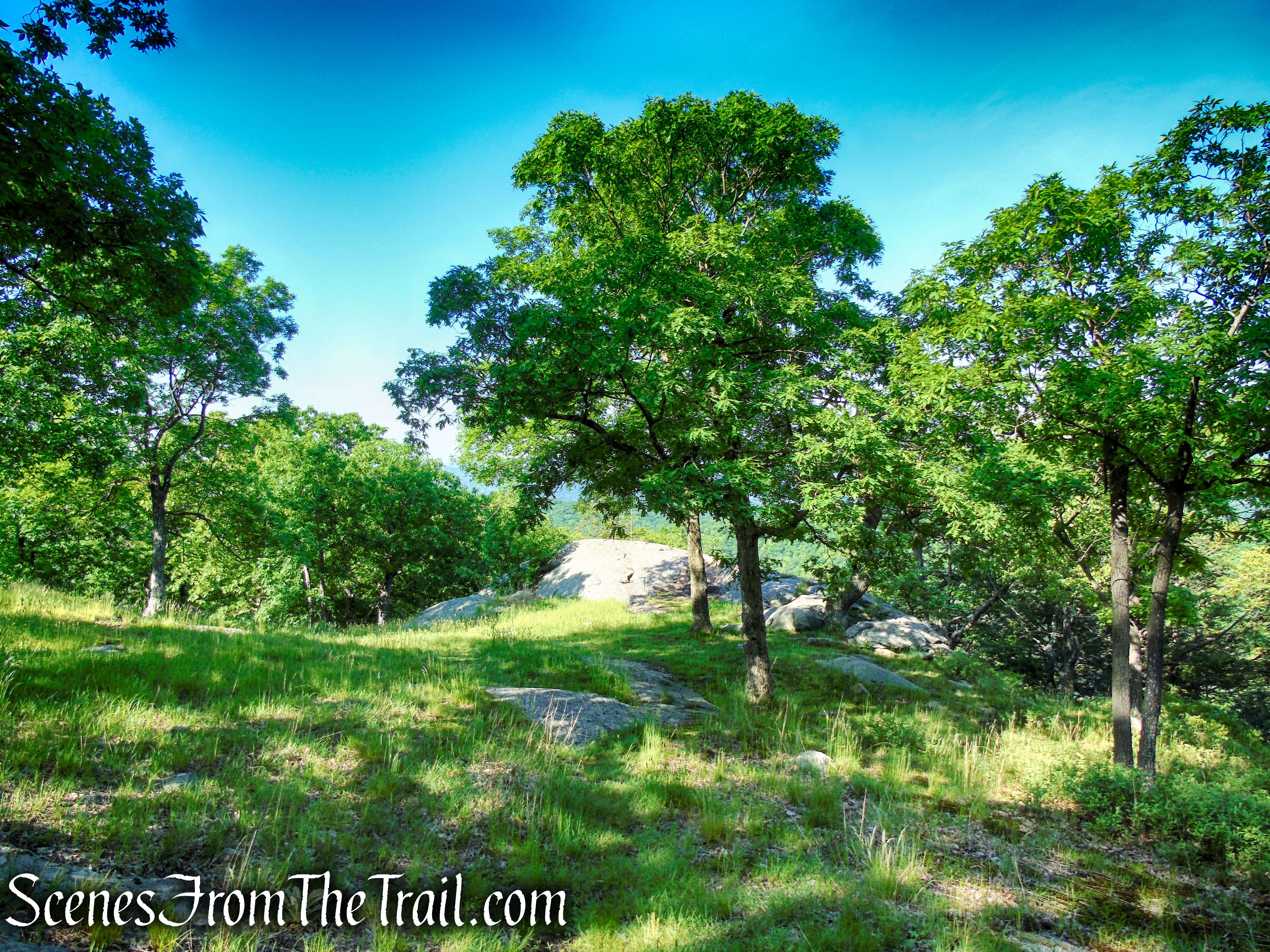Stahahe High Peak - Harriman State Park